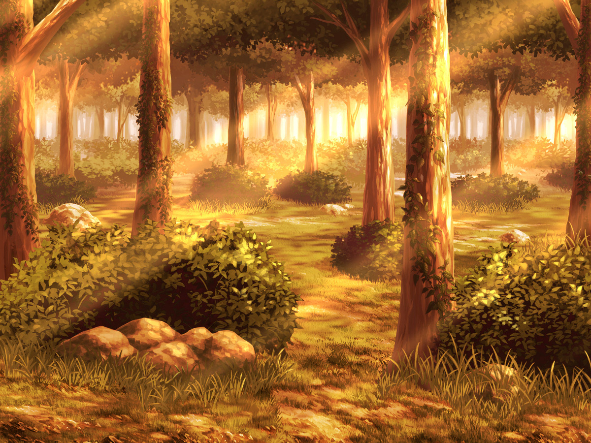 夕方の森 Nft Marketplace Comsa