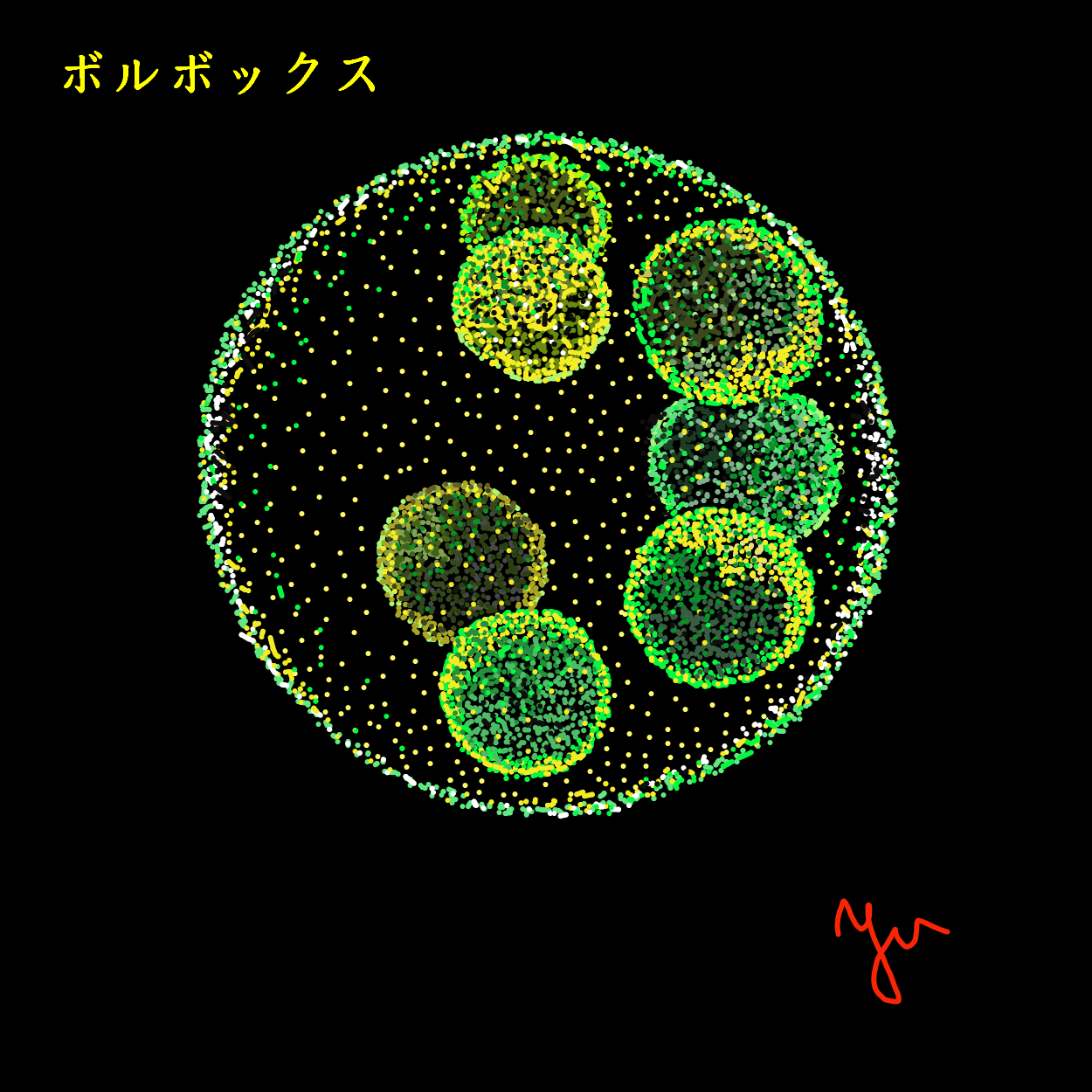 ボルボックス | UNIQUE Marketplace | COMSA